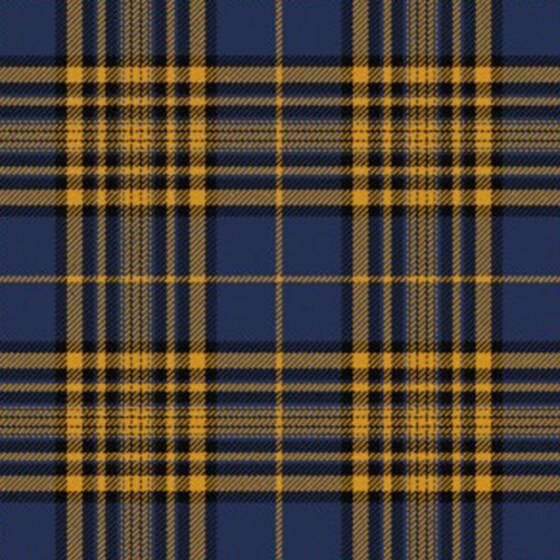 Agincourt Tartan swatch