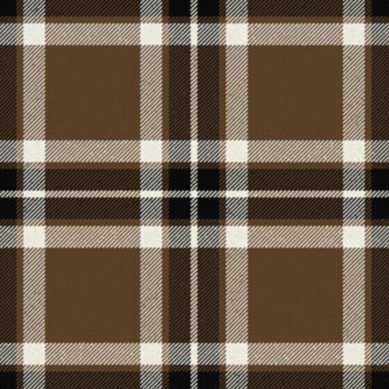 Loch Tummel District Tartan swatch