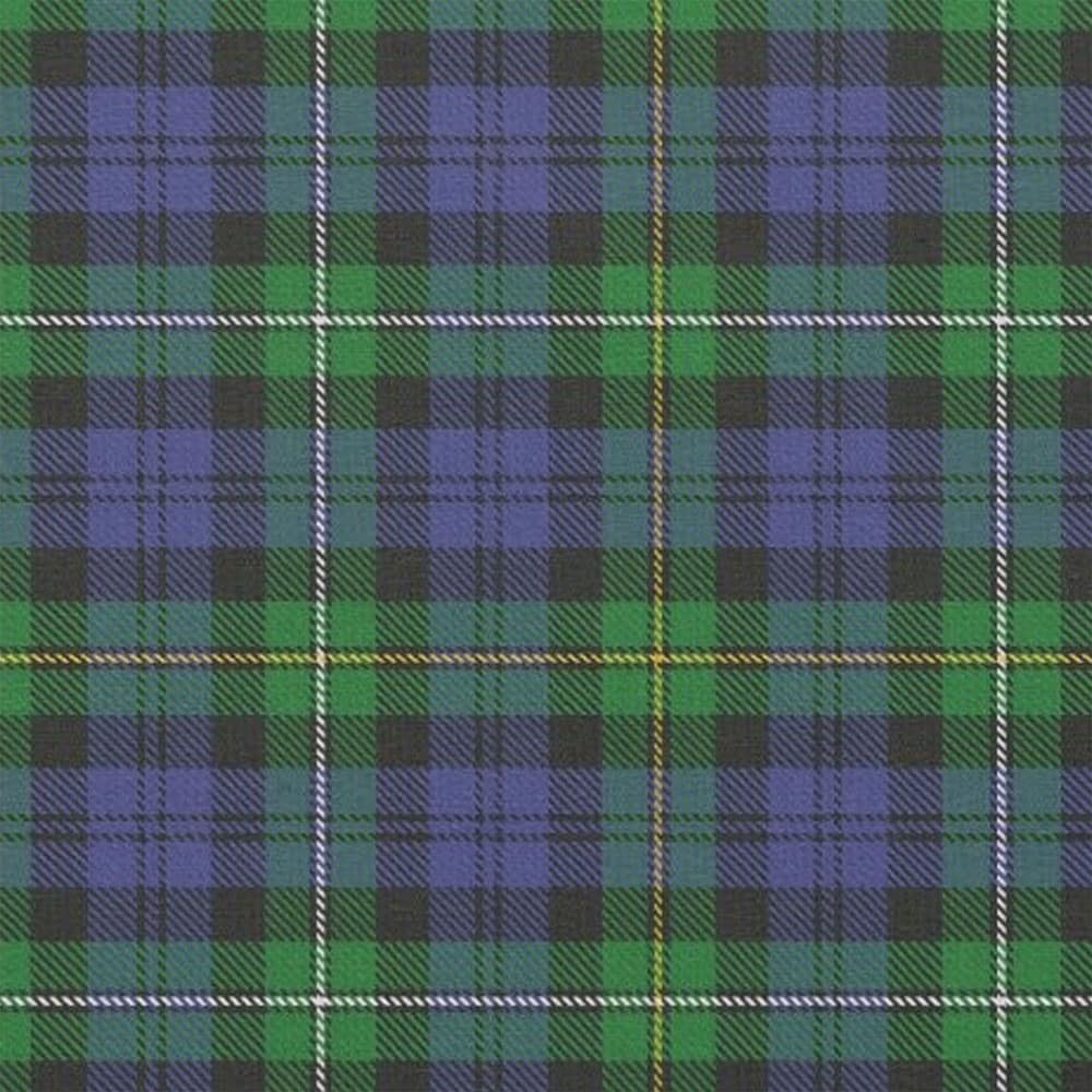 Campbell of Loudoun Modern Tartan Kilt image 3