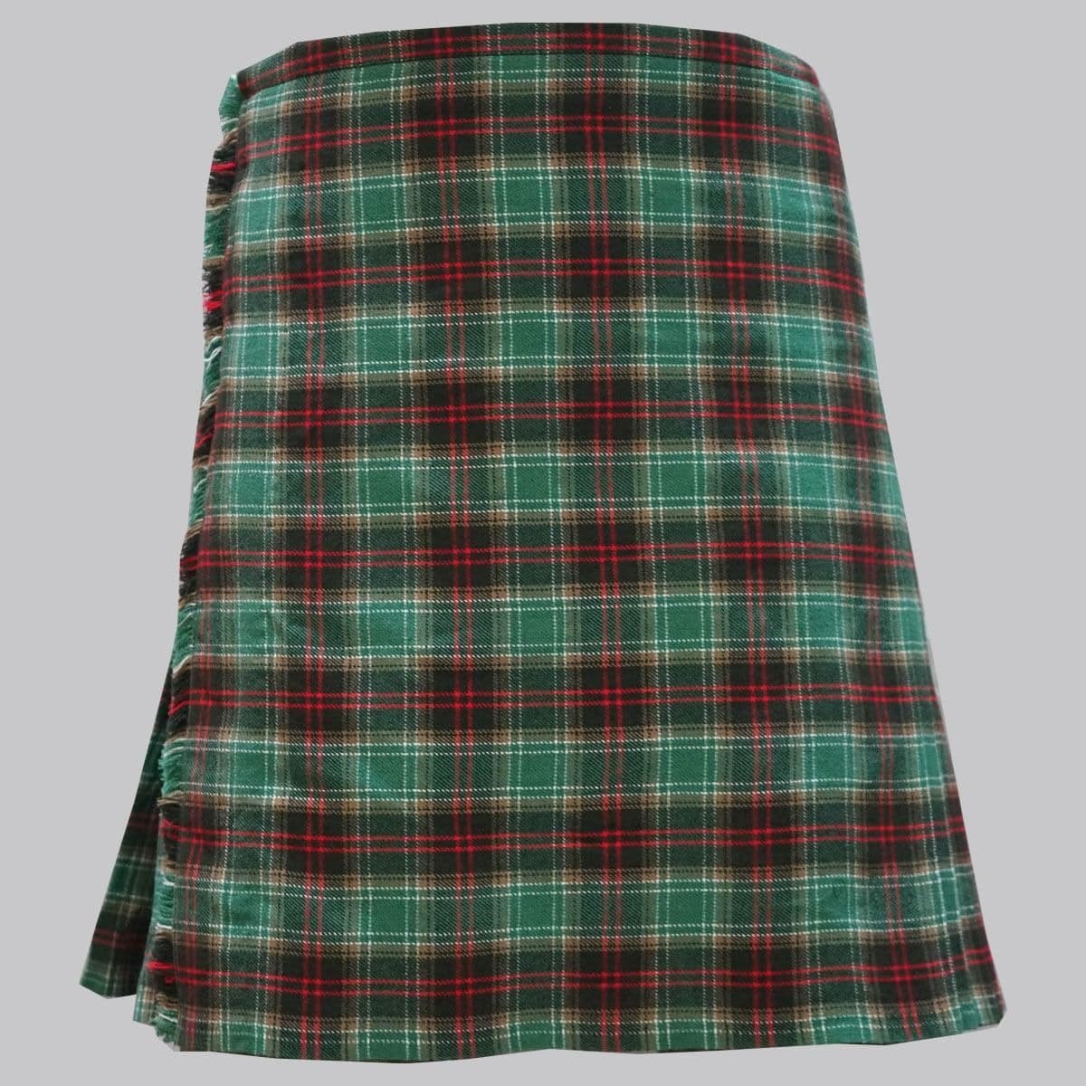 Clan Michigan Premium Tartan Kilt For Women image 0