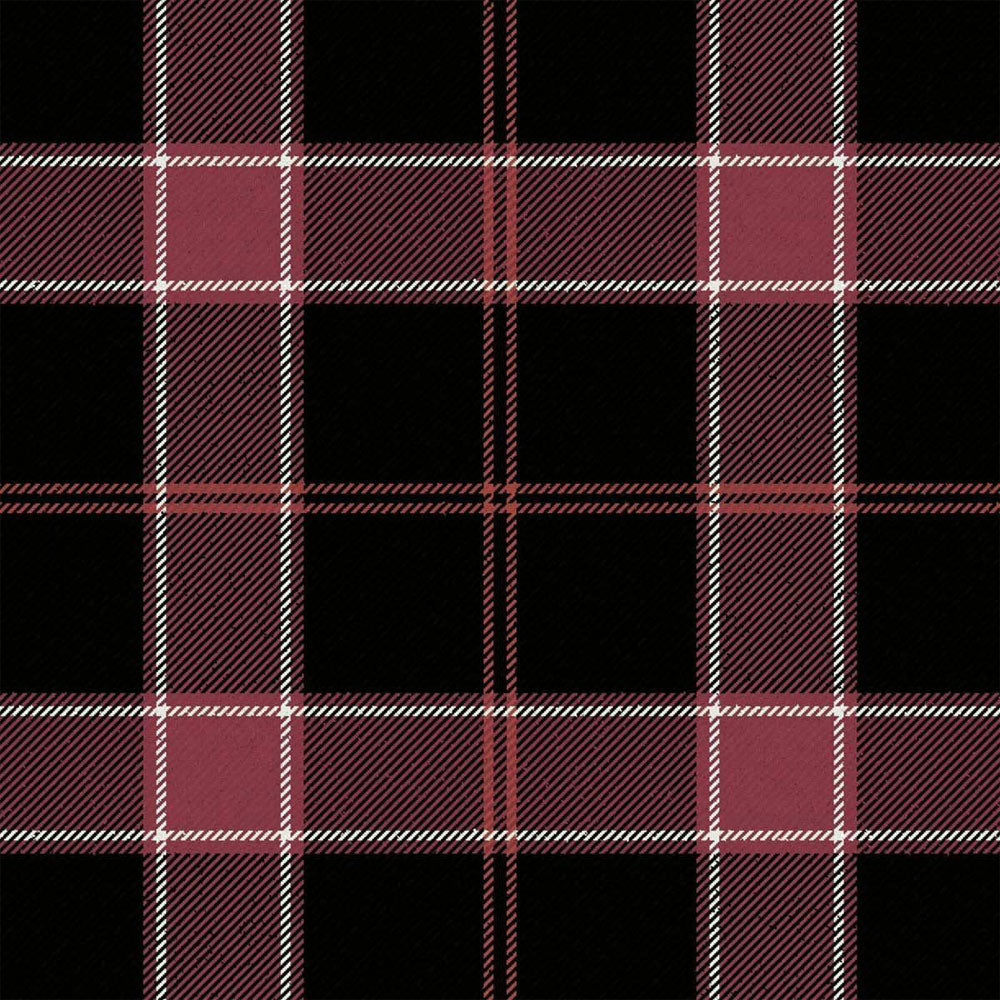 Gavin Ancient Tartan Kilt image 1