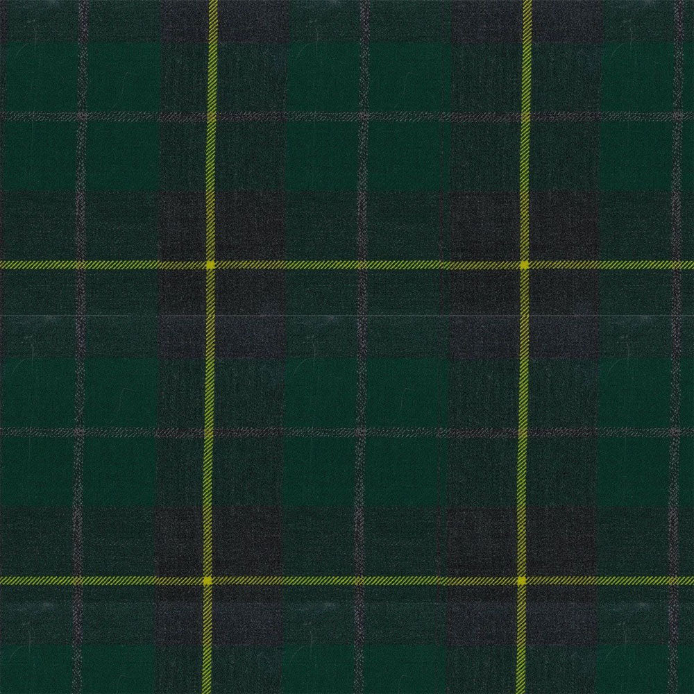 Wallace Hebridean Tartan Kilt image 1