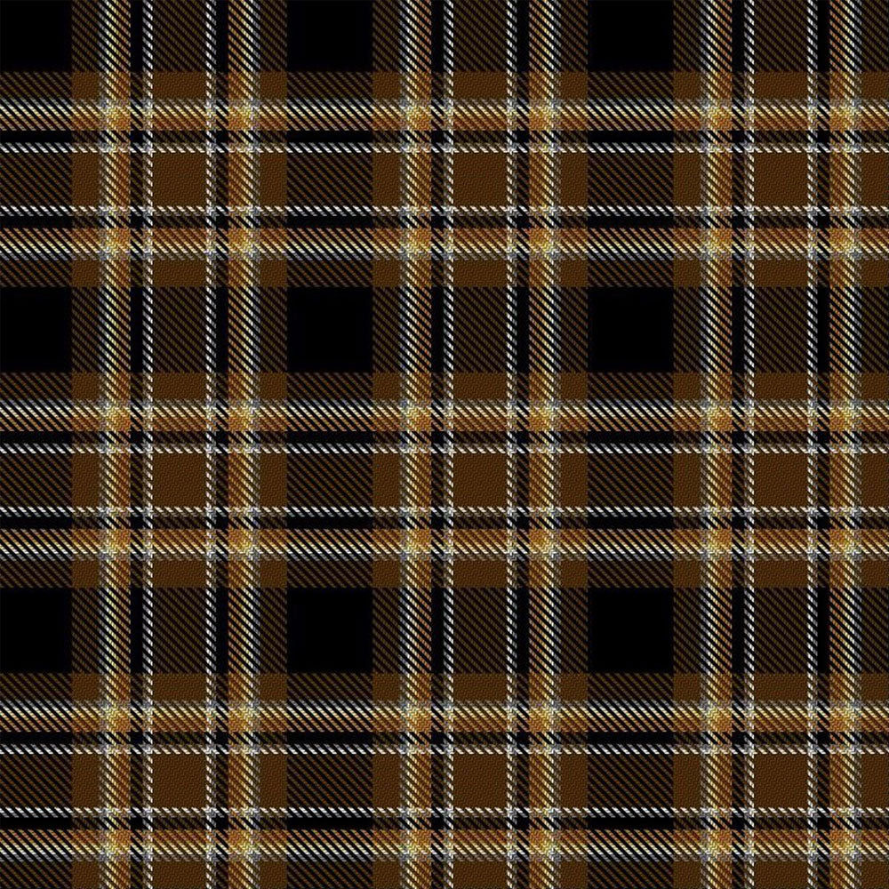 Bear Pride Tartan Kilt image 1