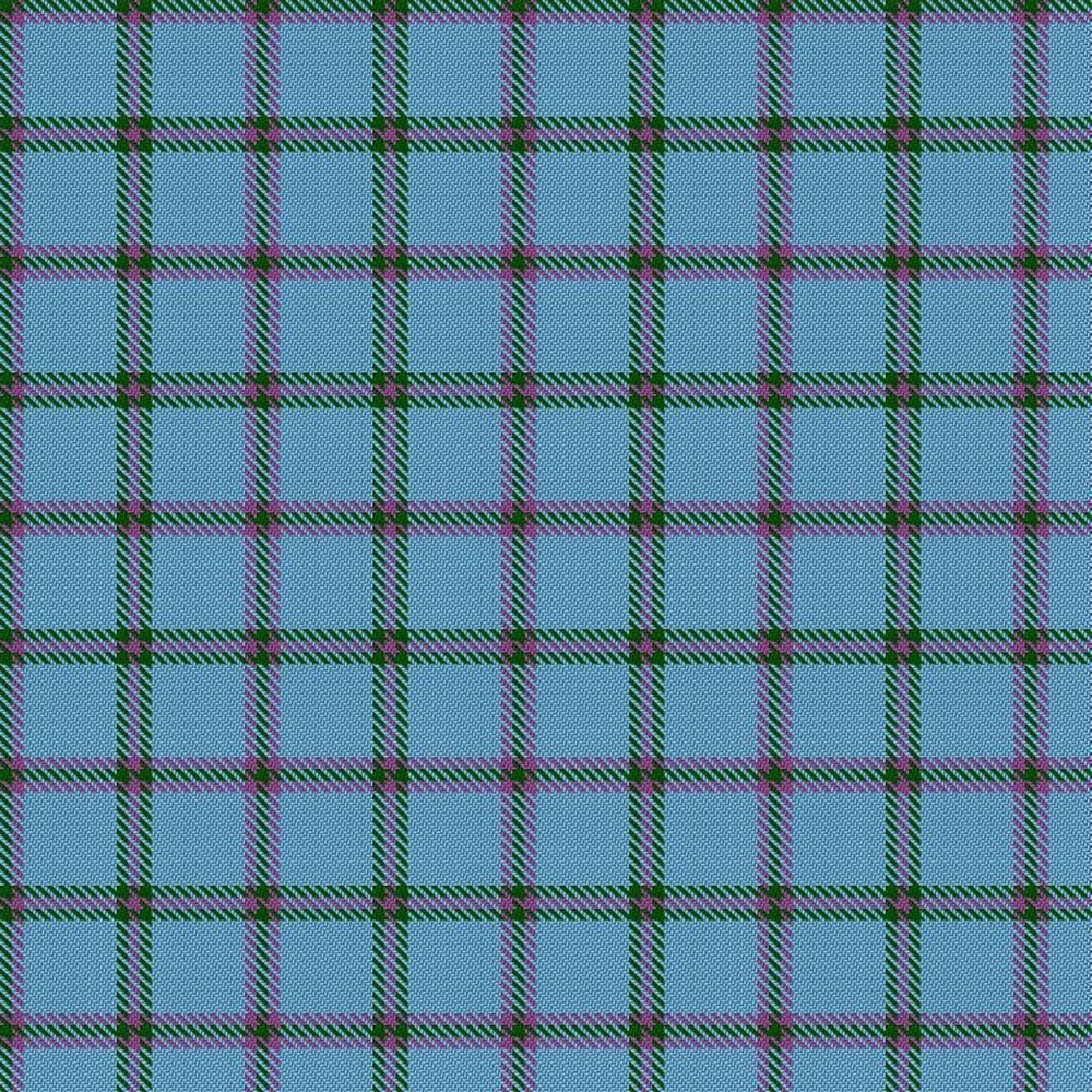 Moriarty Tartan Kilt For Men image 1