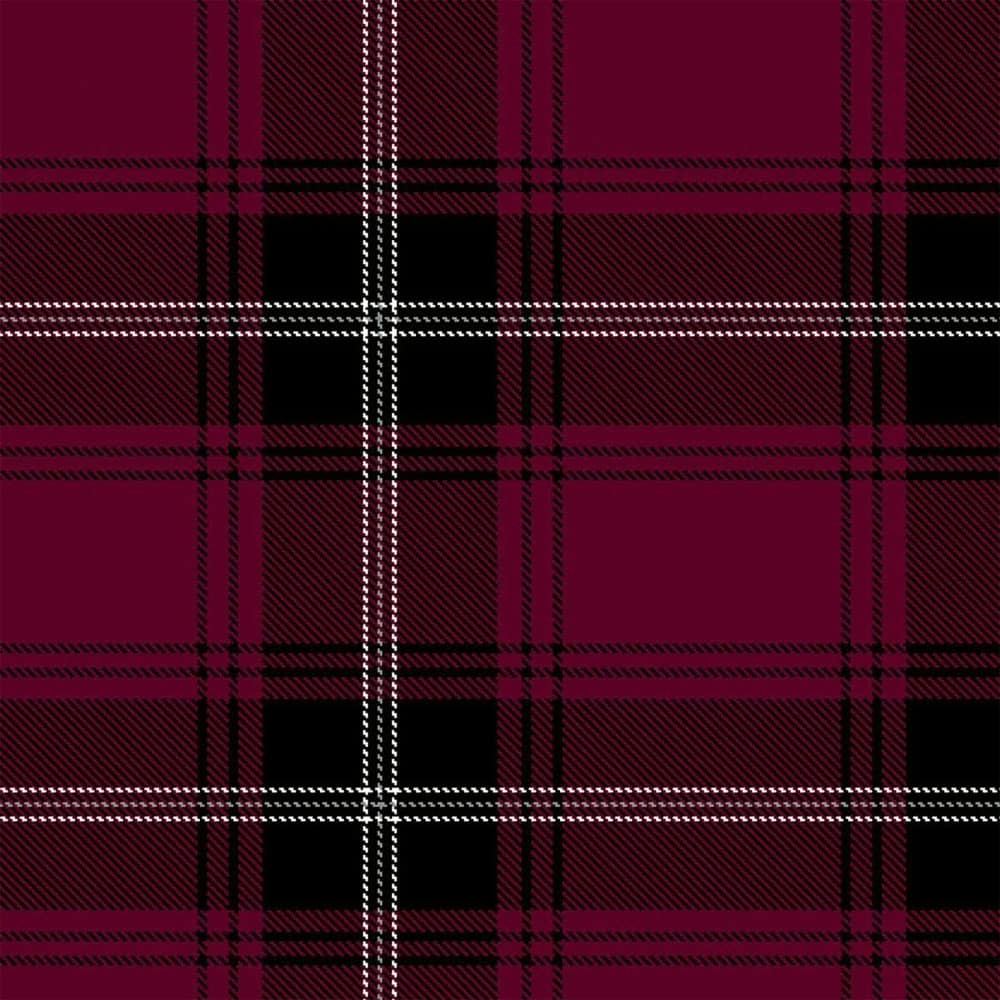 Llewellyn Tartan Kilt image 1