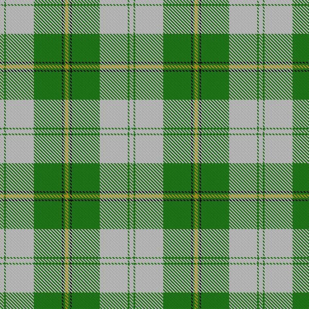 Cunningham Dress Green Dancers Tartan Kilt image 1