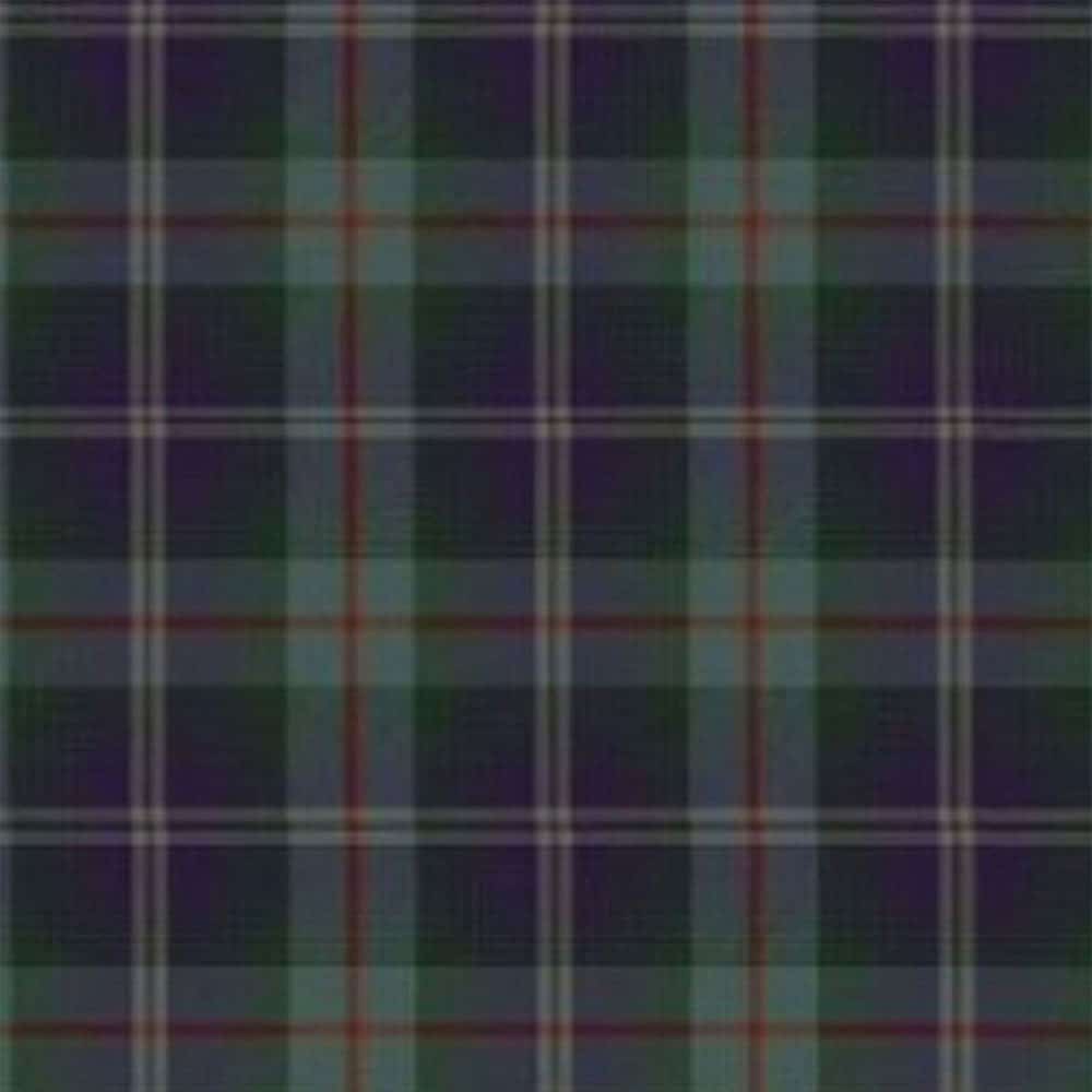 Save The Horse Tartan Kilt image 1