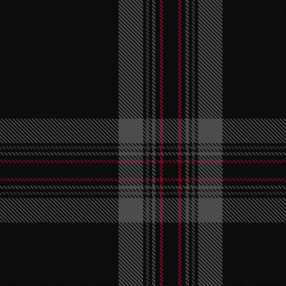Lion Heart Grey Tartan Kilt image 2