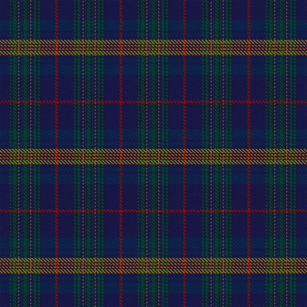 Jenkins Tartan Kilt image 1