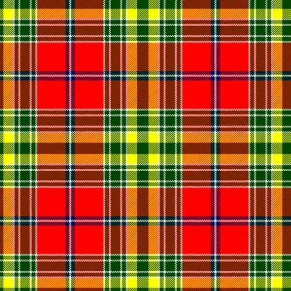 Clan Dunblane Tartan Kilt image 1
