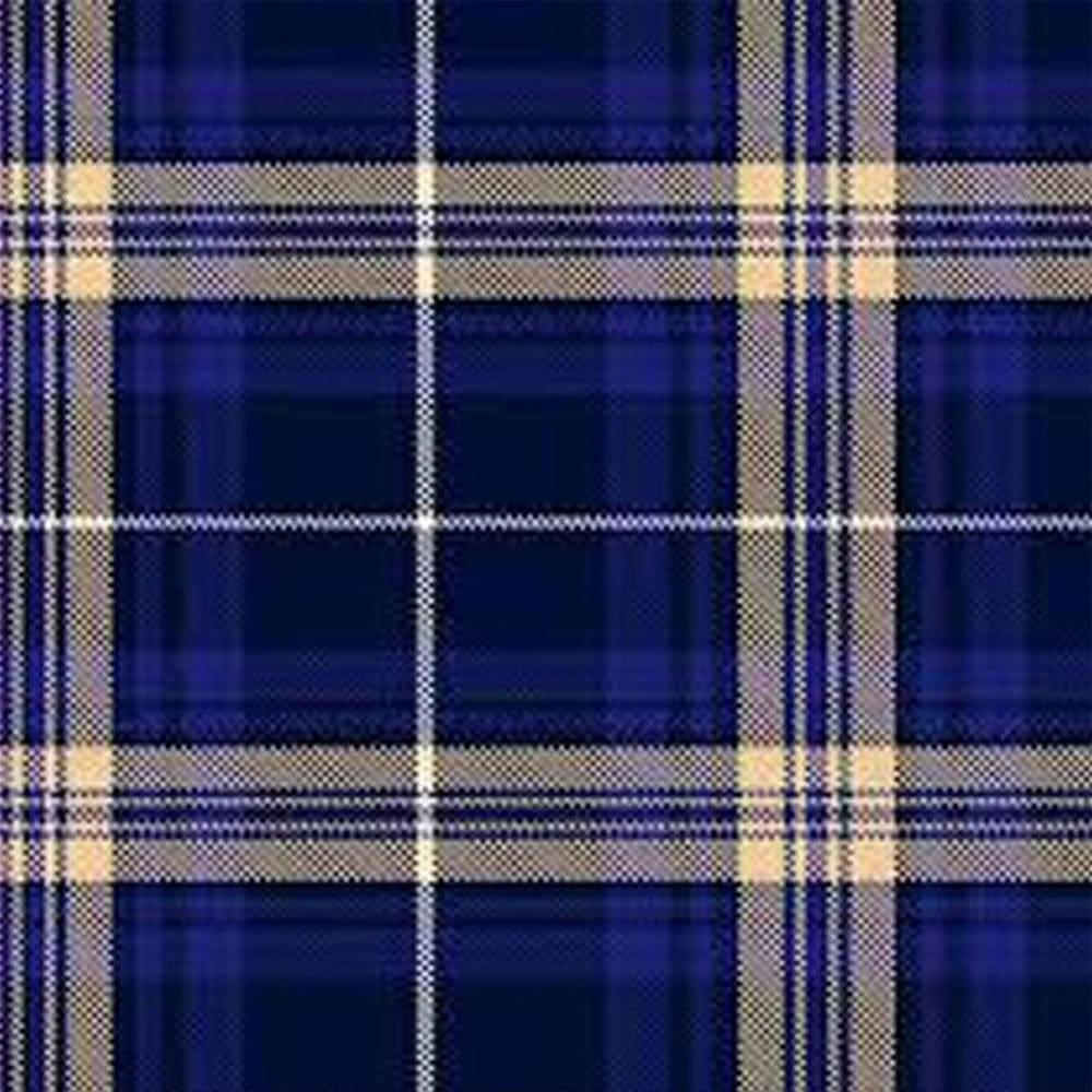 Rees (Preece) Tartan Kilt image 1
