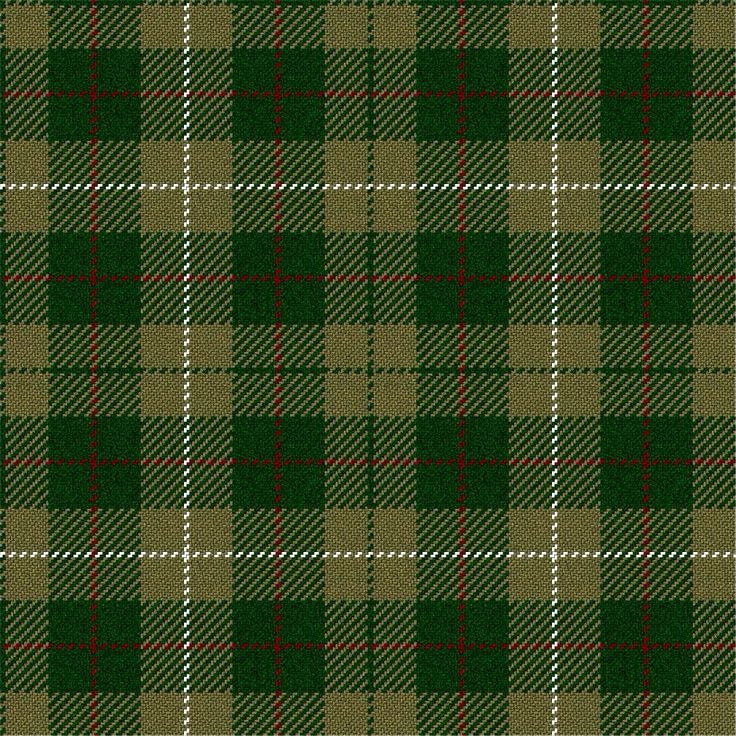 Clan Mckinney Tartan Kilt image 0