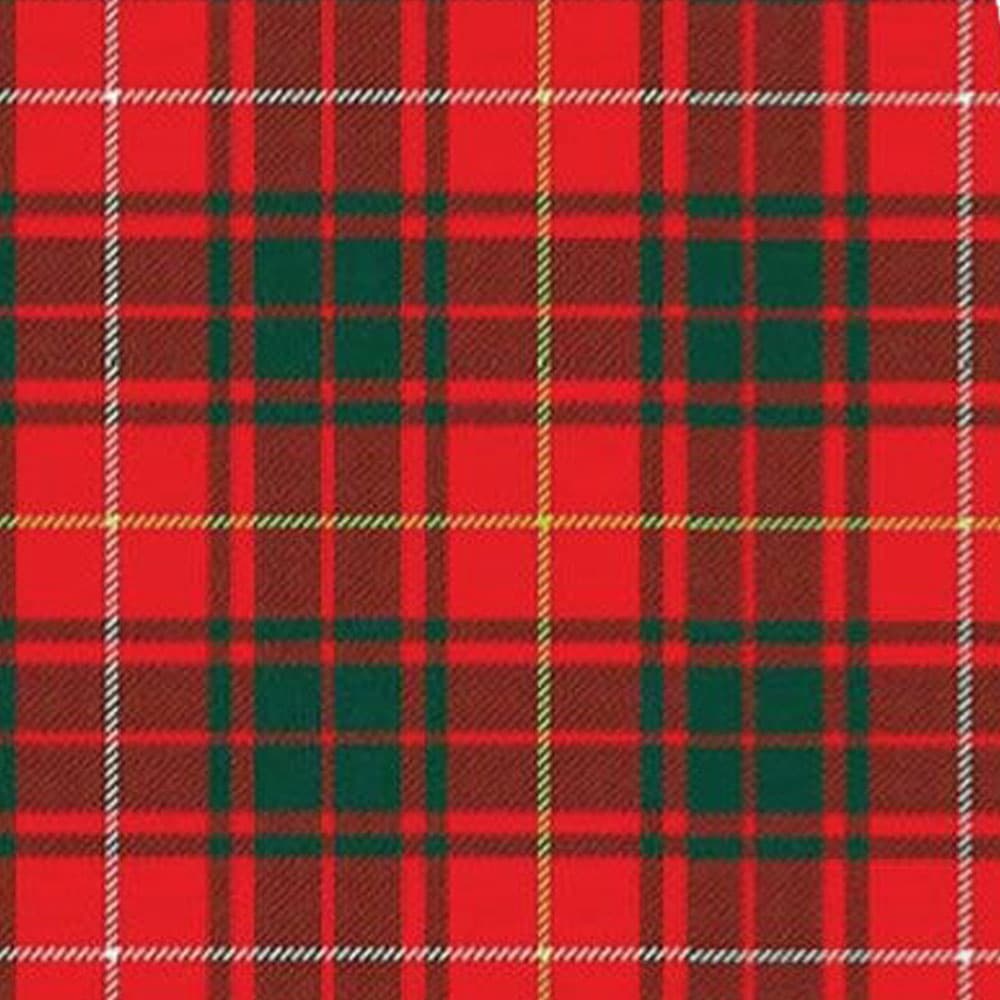 Bruce Modern Tartan Kilt image 1