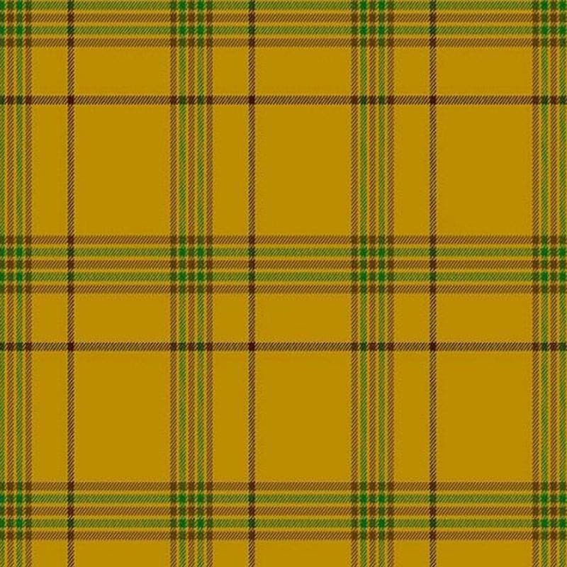 Clan Houston Modern Tartan Kilt image 1