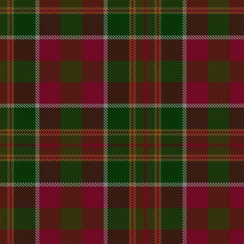Henry Clan Tartan Kilt image 1