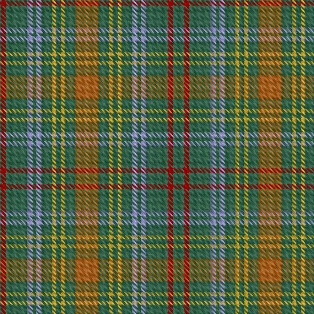 O'Brien Tartan Kilt image 3