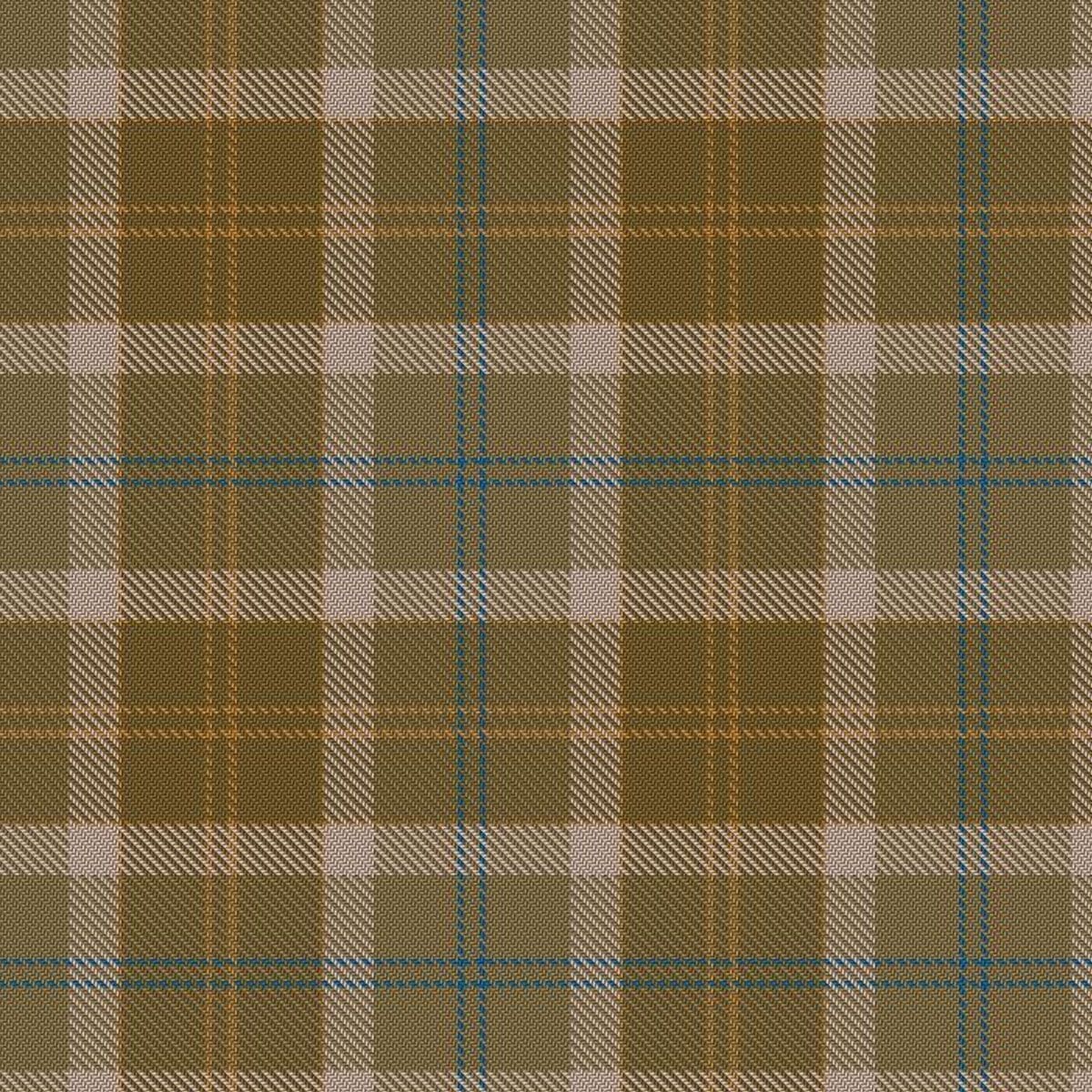 Clan Cladish Tartan Kilt image 1