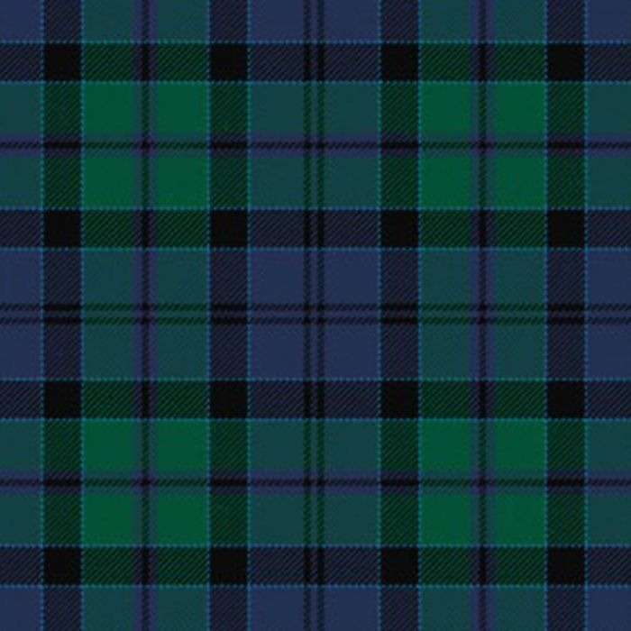 Hebridean Old District Tartan Kilt image 0
