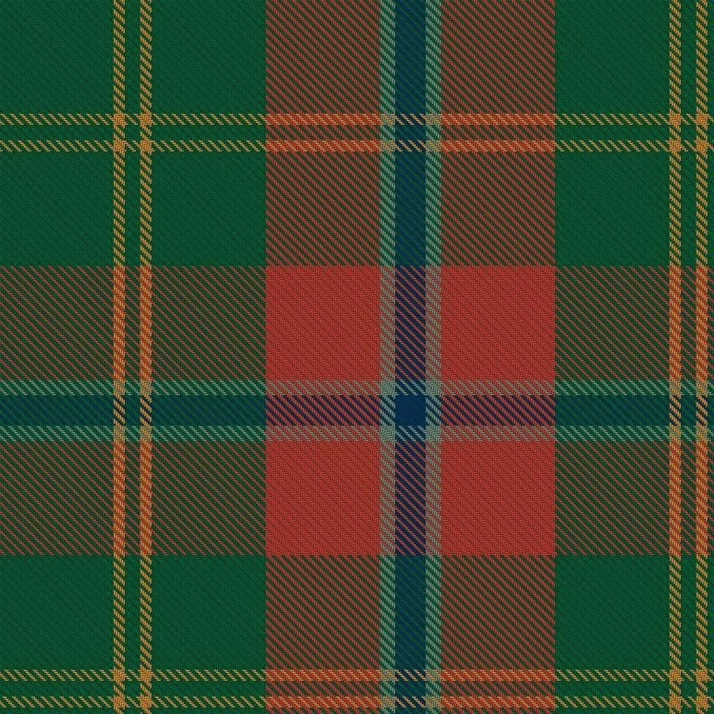 Clan Hutcheson Family Tartan Kilt image 1