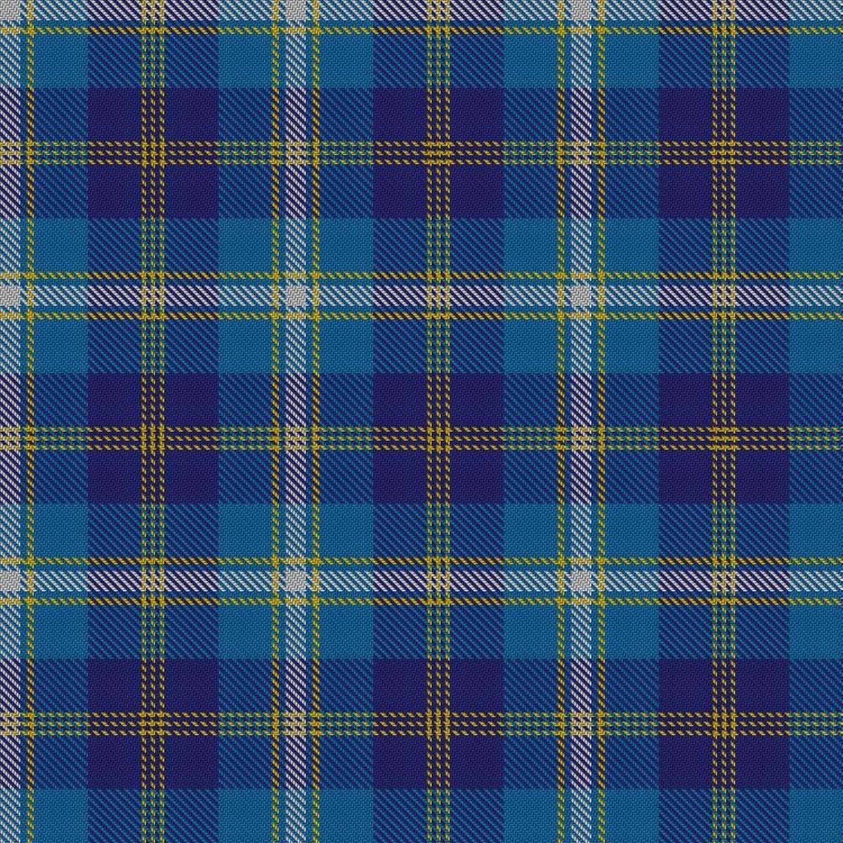 Clan Halsween District Tartan Kilt image 1