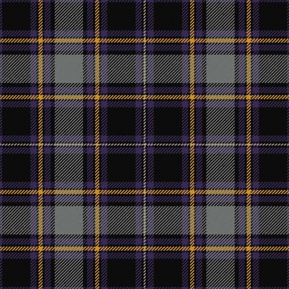 MacFly School Ancient Tartan Kilt image 0