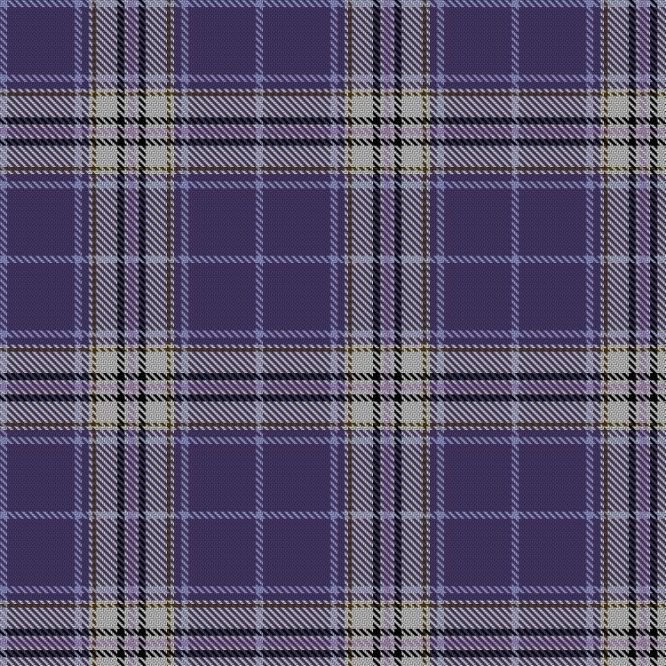Spirit Of Glasgow Tartan Kilt image 1