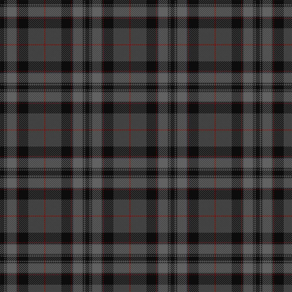 Pride Of Scotland Silver Tartan Kilt image 1