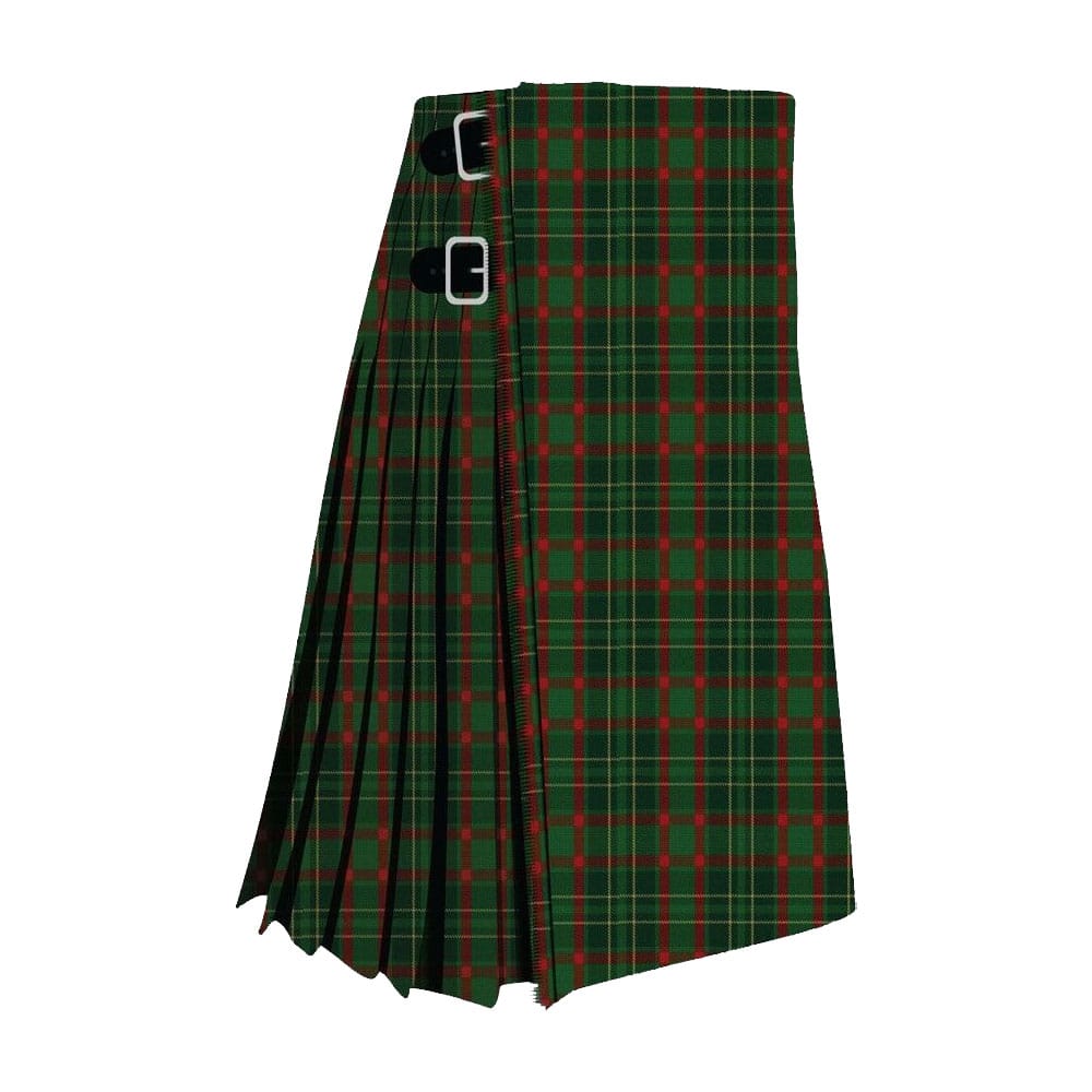 Clan Doyle Tartan Kilt image 0