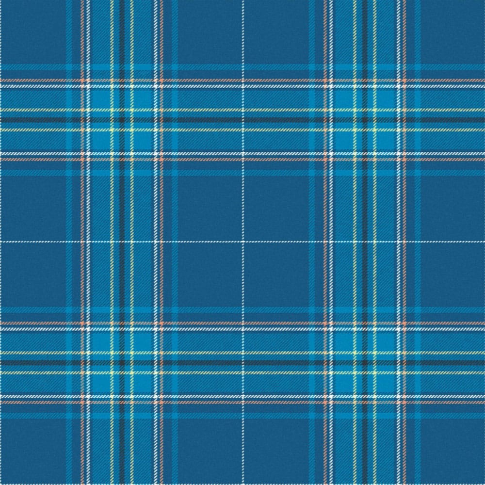 Albany Tartan Kilt image 1