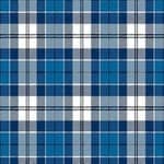 Clan Strathclyde District Tartan Kilt image 1