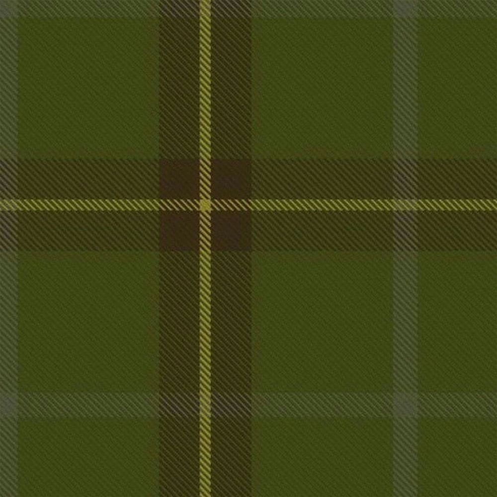 Mcguigan Tartan Kilt image 1
