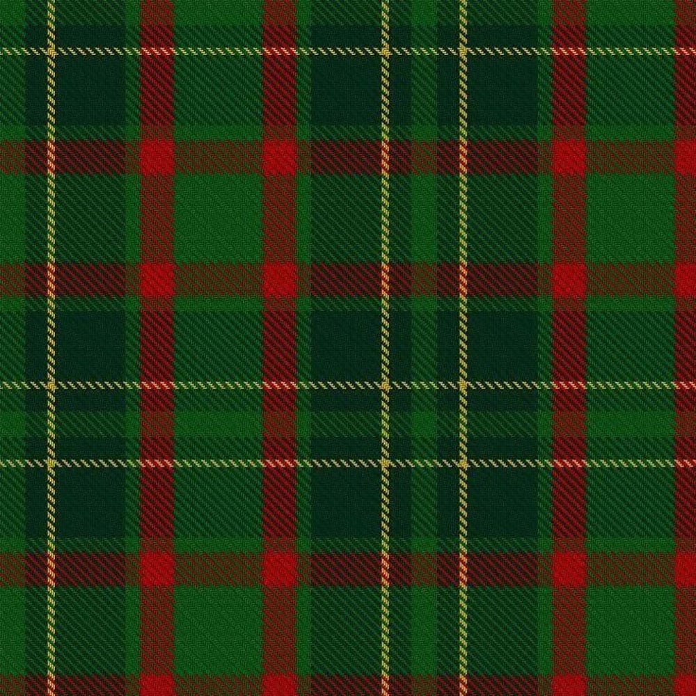 Clan Doyle Tartan Kilt image 1