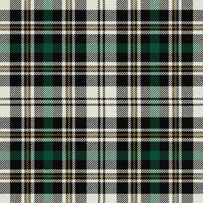 Dalgliesh Dress Ancient Tartan Kilt image 0